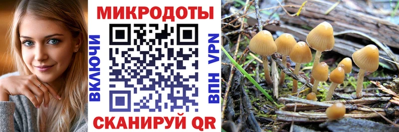 Галлюциногенные грибы мицелий  наркошоп  Мосальск 